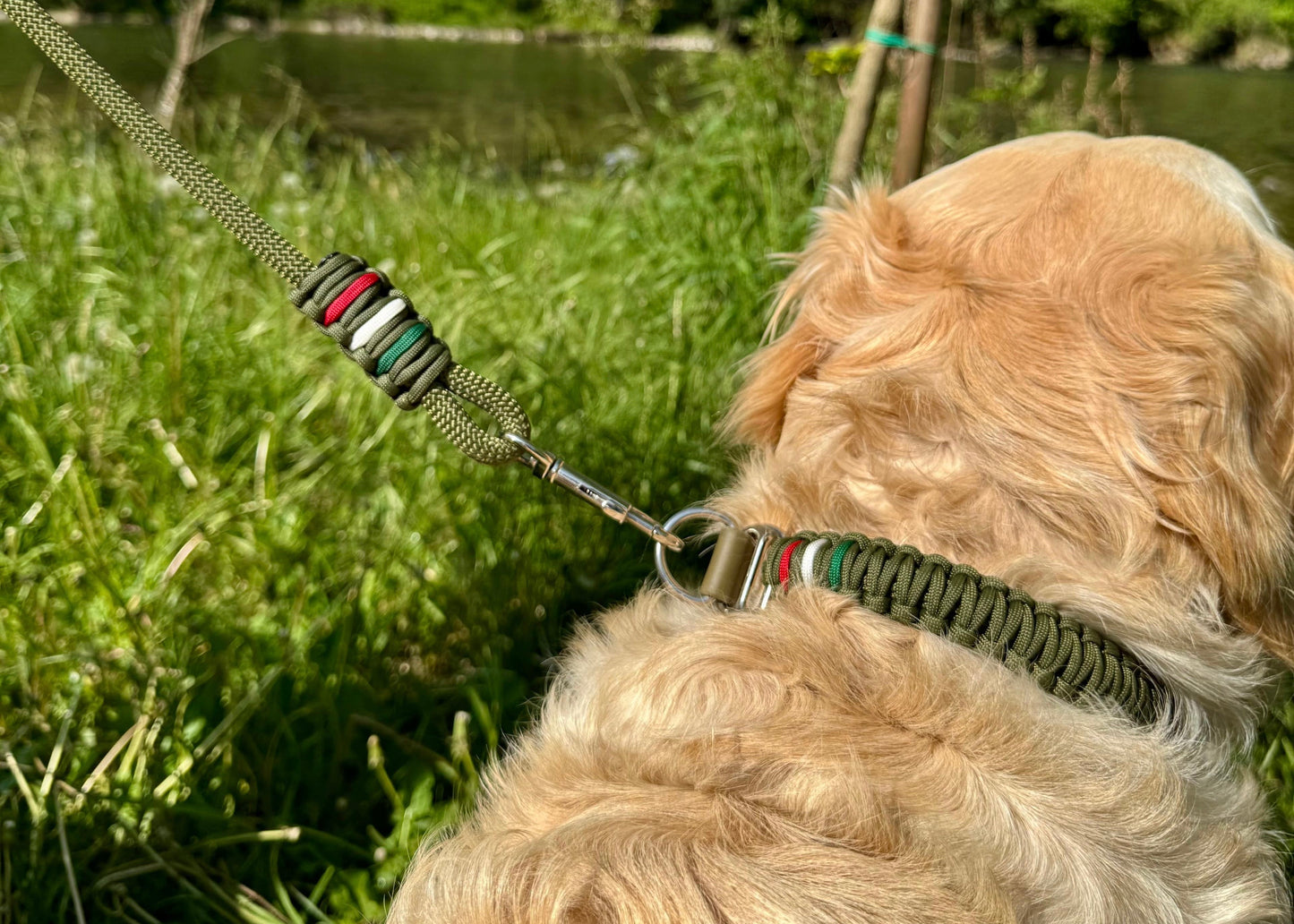 Collare EXTREME Paracord - Maglia 2,5 cm - Verde Oliva - Flag